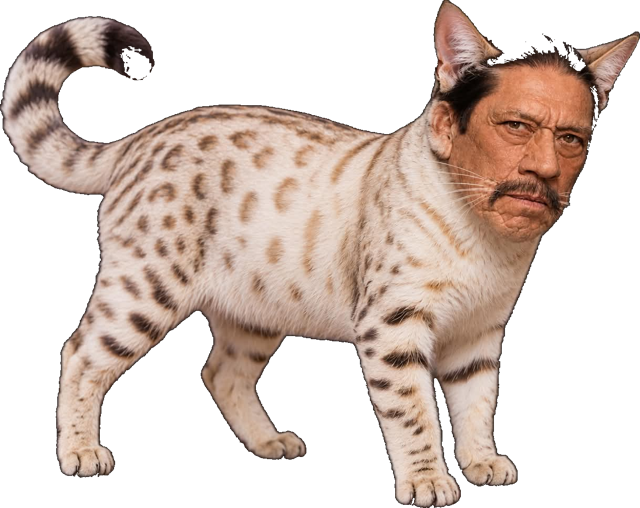 The supplied Meowchete character artwork